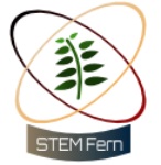 Stem Fern Logo