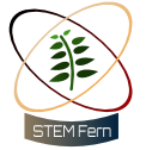 Stem Fern Logo
